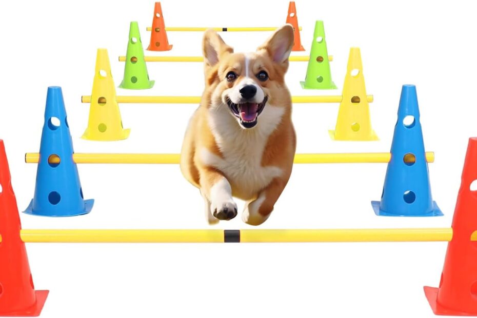 Unleash Your Pup's Potential: Review of the Dog Jump Agility Training Set!