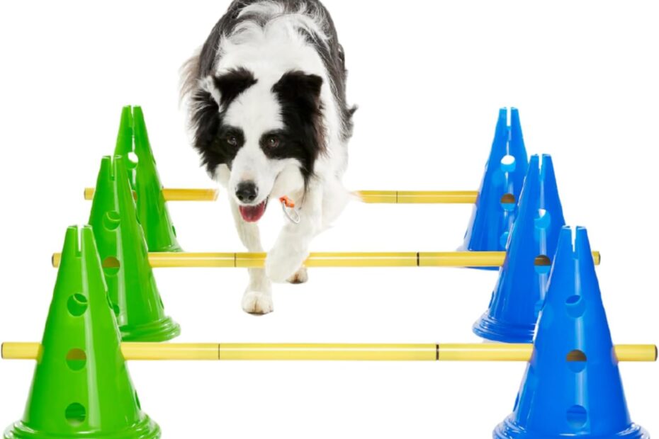 Unleash Your Pup's Potential: The Ultimate FitPAWS® Dog Agility Kit Review