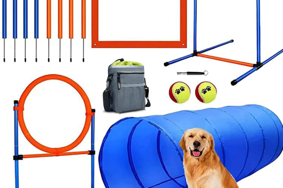 Unlock Fun & Fitness: Review of the 60-Piece Dog Agility Training Kit!