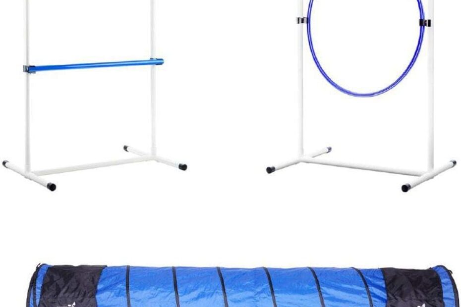 Unlock Your Dog's Potential: Review of the Better Sporting Dogs Agility Equipment Set