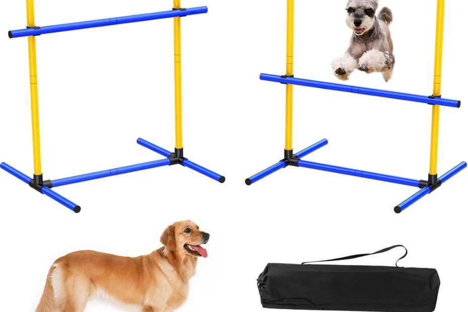Unlock Your Dog's Potential: Review of the Ultimate Agility Training Set!