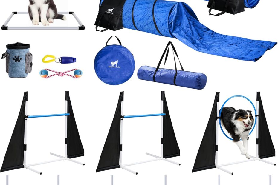 Unlock Your Dog's Potential: Reviews of Premium Agility Training Equipment!