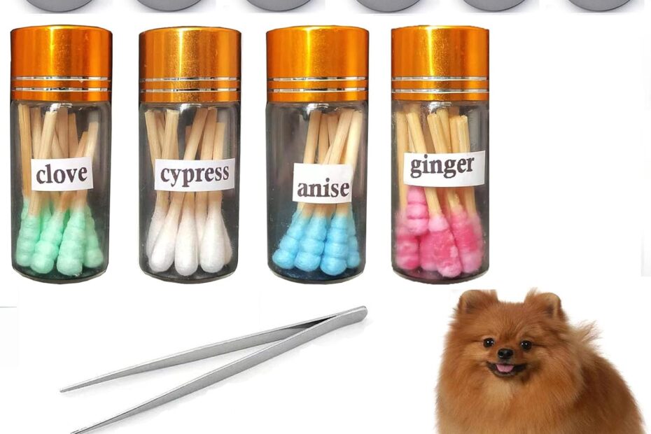 Unlock Your Dog's Potential: The Ultimate Scent Work Starter Kit Review!