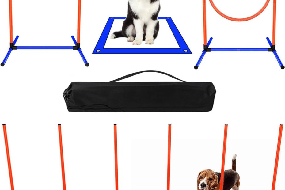 Unlock Your Dog's Potential with the Ultimate Agility Course Set!