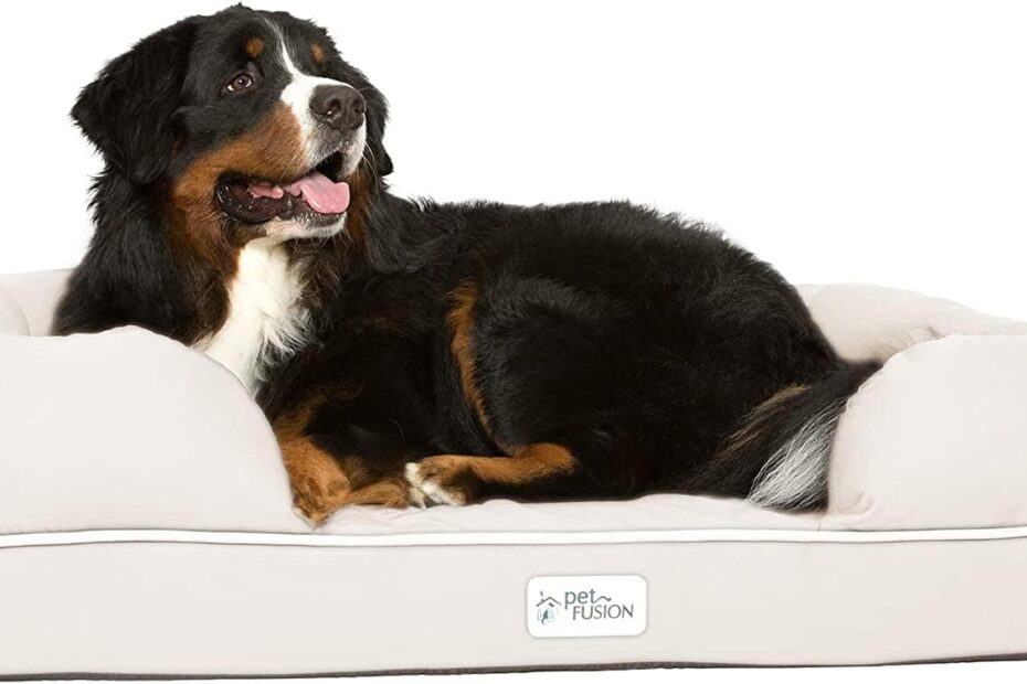 Unrivaled Comfort: A Review of the PetFusion Extra Large Dog Bed with Memory Foam