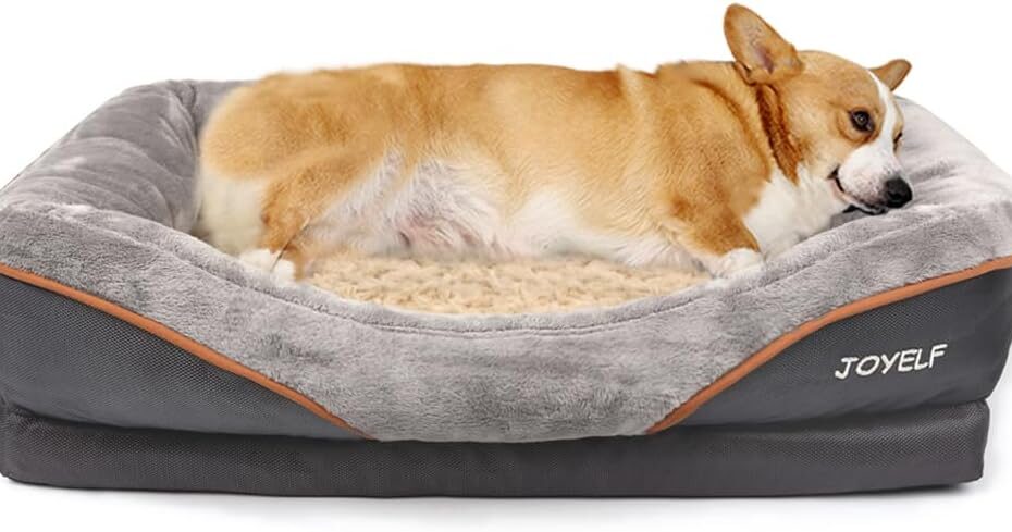 Unwind in Comfort: JOYELF Medium Memory Foam Orthopedic Dog Bed Review
