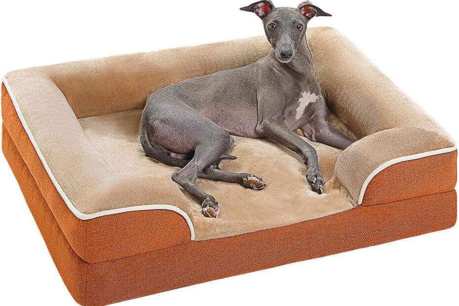 Unwind in Comfort: The Ultimate PAWZ Road Orthopedic Dog Bed Review!