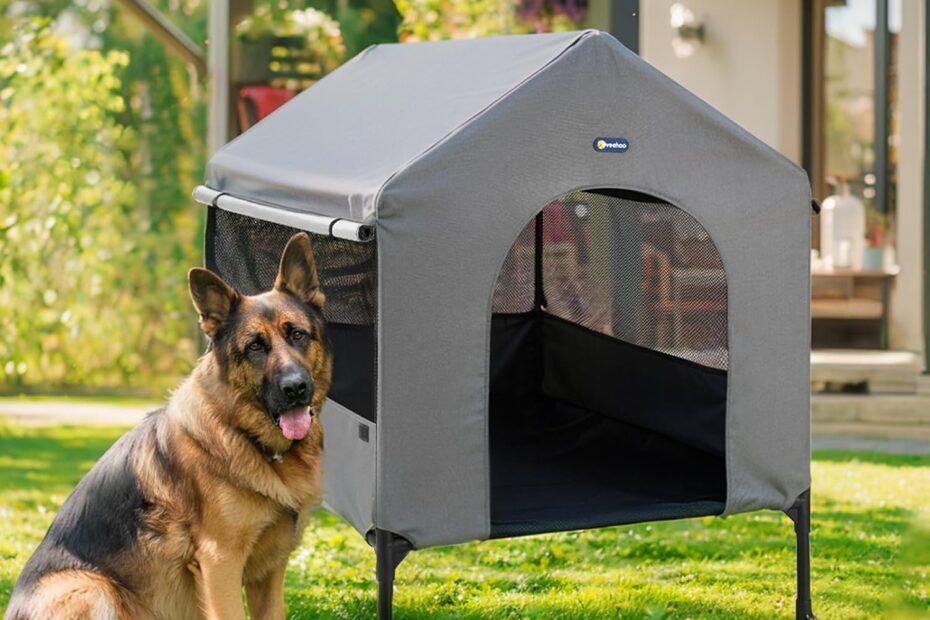 Veehoo 41" Dog House: The Ultimate 2-in-1 Shelter for Your Furry Friend!
