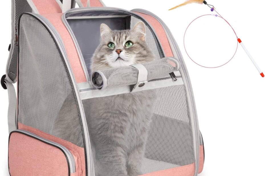 Adventure Awaits: The Perfect Cat Backpack Carrier for Every Outdoor Outing!