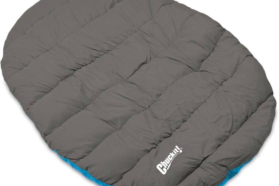 Adventure Ready: Chuckit! Travel Dog Bed Review – Comfort On-the-Go!
