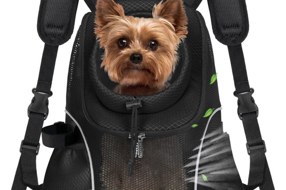 Adventure Ready: Review of the WOYYHO Pet Dog Carrier Backpack