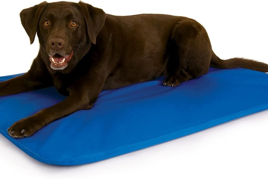Beat the Heat: A Review of the K&H Pet Products Cool Bed III for Large Dogs