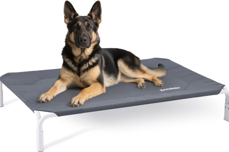 Beat the Heat: The Ultimate XL Elevated Dog Cot Bed for Large Pets!