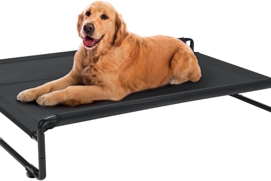 Beat the Heat: Veehoo Elevated Dog Bed Review for Ultimate Comfort