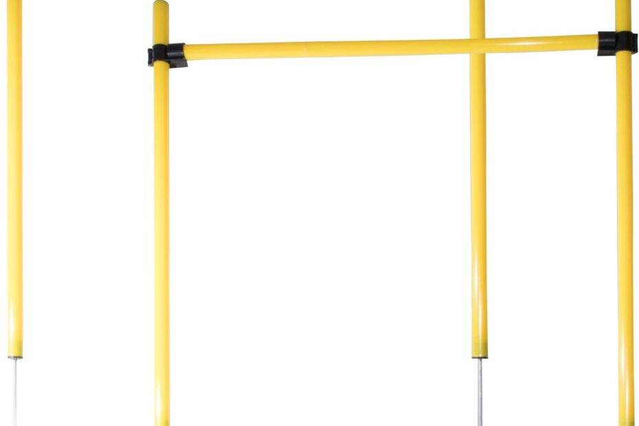 Boost Your Pup's Skills: A Review of the PET LIFE Jumping Hurdle Training Kit