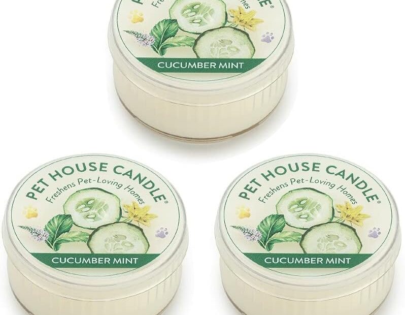 Breathe Easy with Pet House Mini Candles: The Ultimate Solution for Pet Odor!