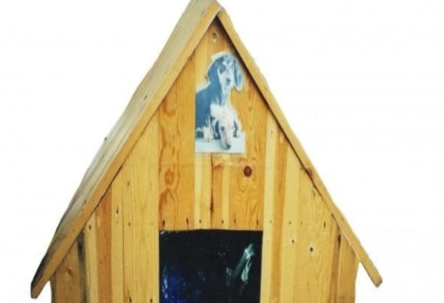 Build Your Dream Dog House in 30 Days: A Complete Guide for Pets of All Sizes