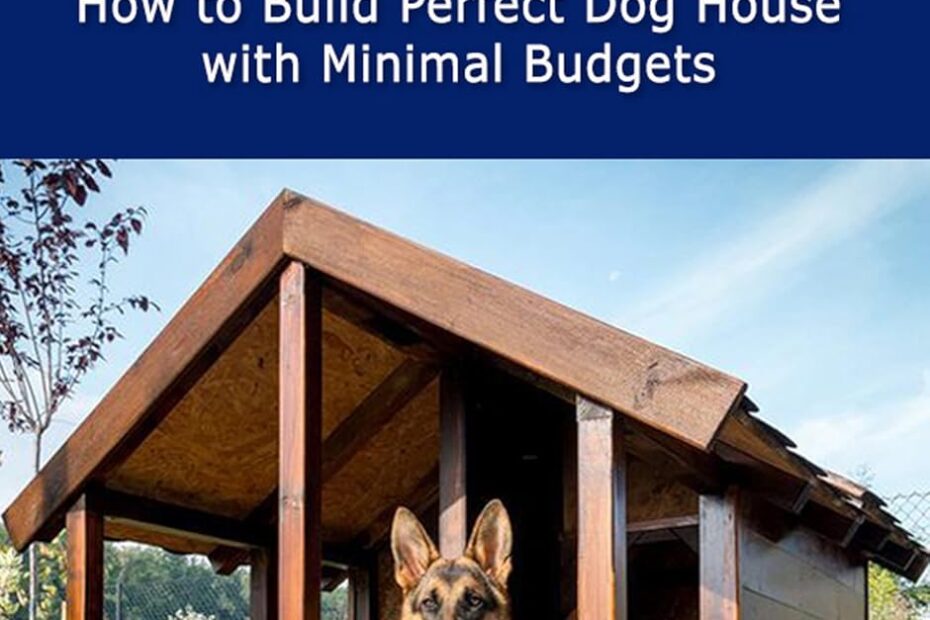 Build Your Dream Dog House on a Budget!