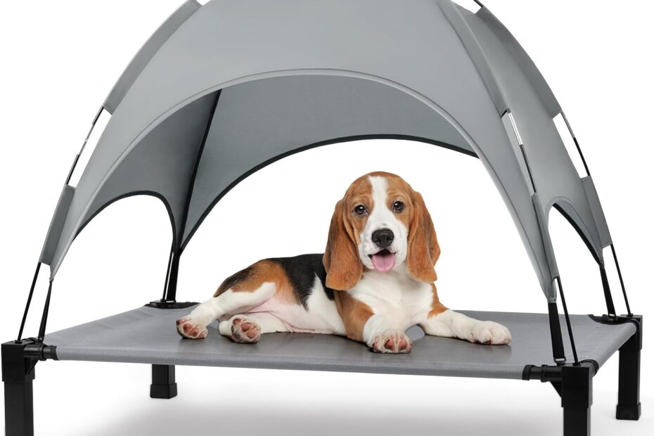 Chill in Style: The Heeyoo Elevated Dog Bed with Canopy Review