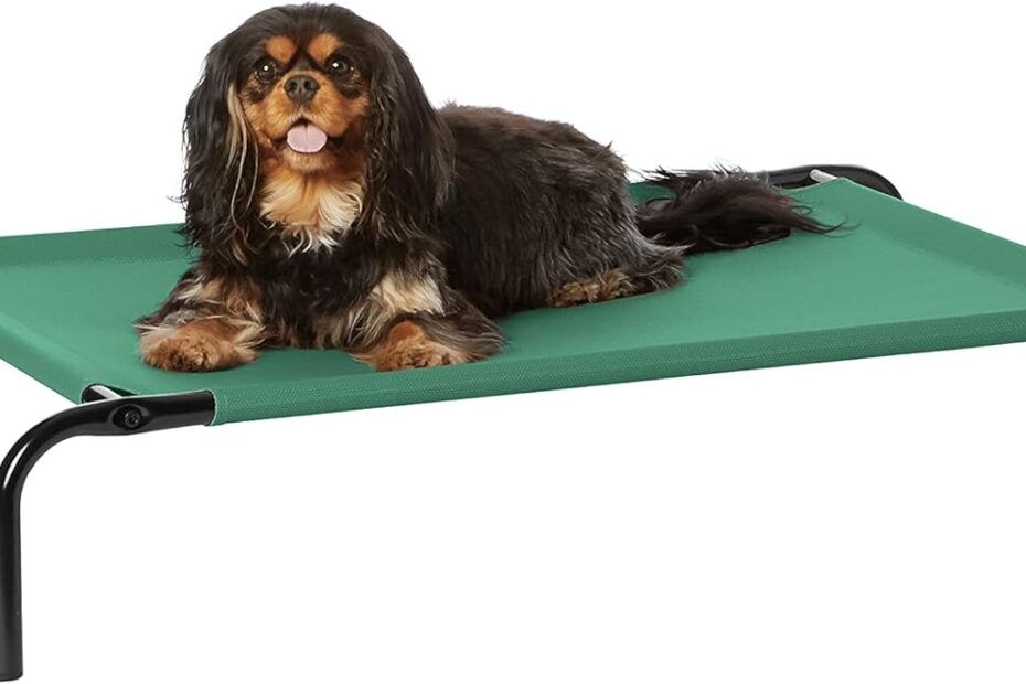 Chill Out: Reviewing the Amazon Basics Elevated Dog Bed for Small Pups