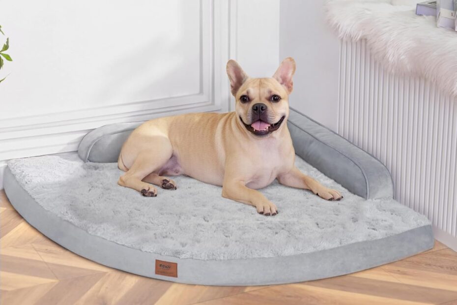Comfort and Support: Review of the Large Orthopedic Dog Bed for Your Furry Friend