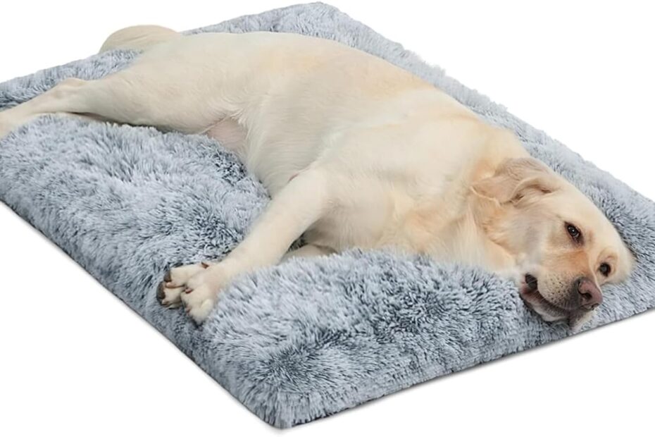 Comfort Meets Convenience: Review of the Anti-Slip Large Dog Bed Crate Pad