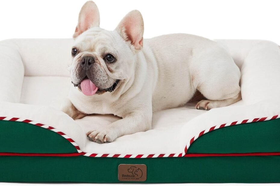 Comfort Meets Style: Bedsure Orthopedic Dog Bed Review for Medium Dogs