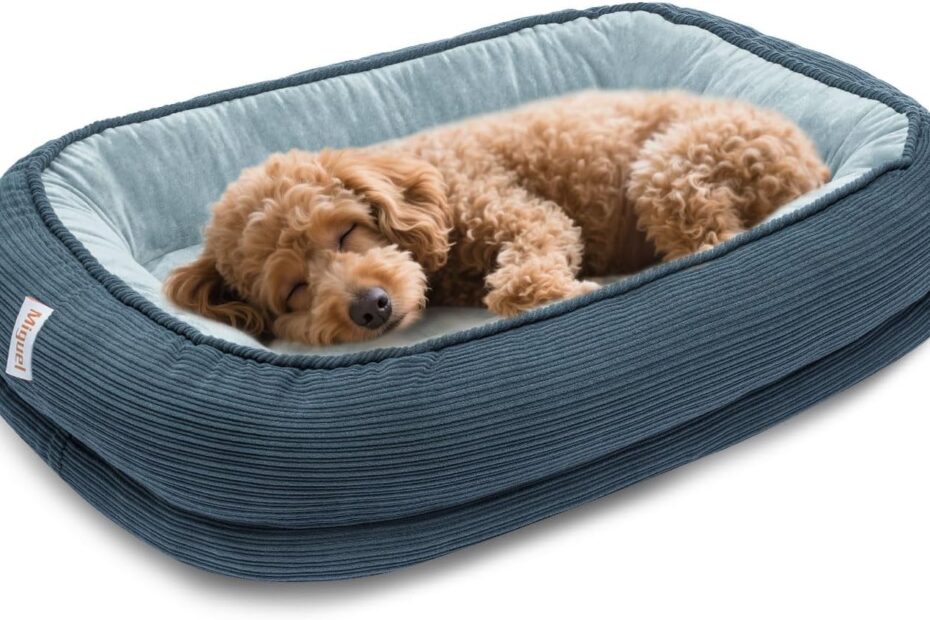 Comfort Redefined: The Ultimate Orthopedic Dog Bed for Senior Pups