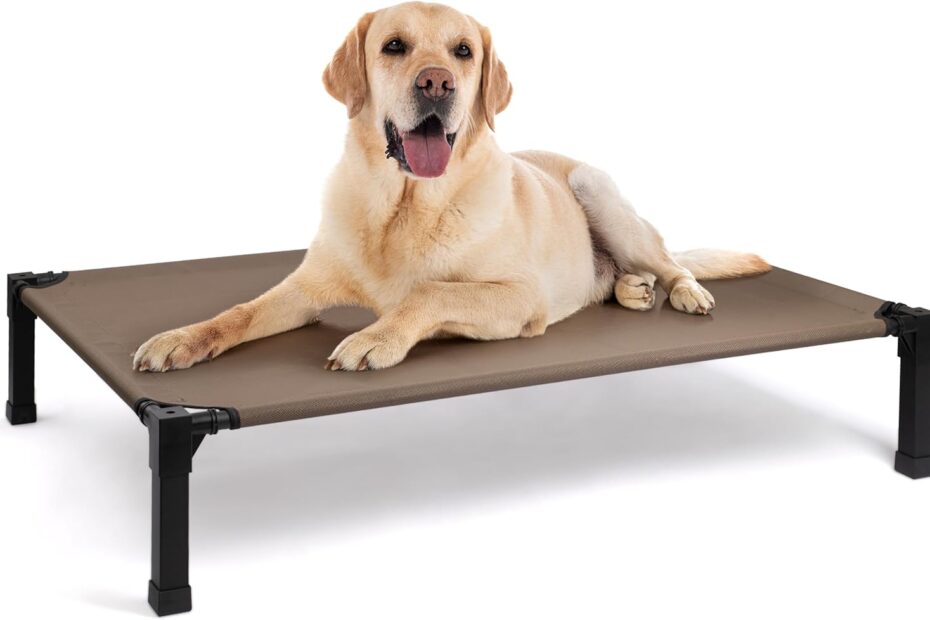 Cool Comfort for Fido: The Heeyoo Elevated Dog Bed Review