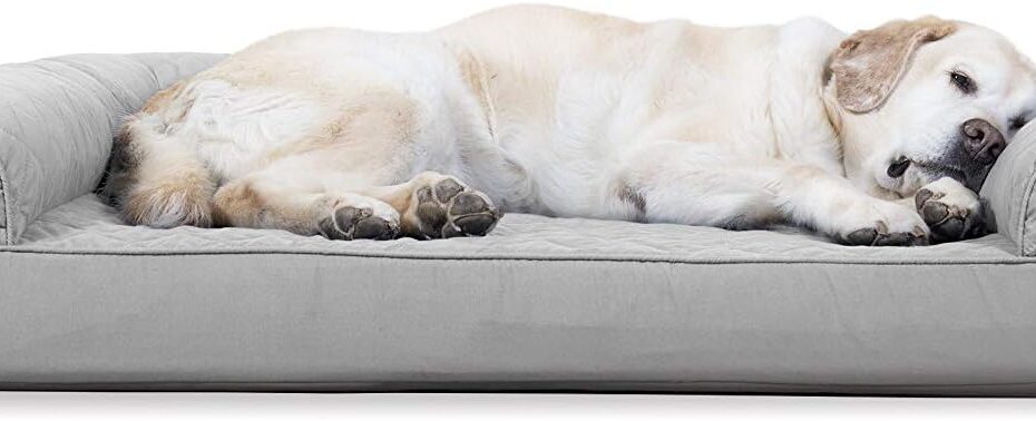 Cool Comfort for Pups: Furhaven Cooling Gel Dog Bed Review