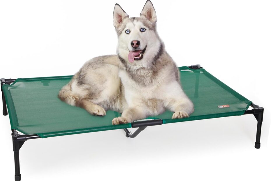 Cool Comfort for Your Canine: K&H Pet Products Elevated Dog Cot Review