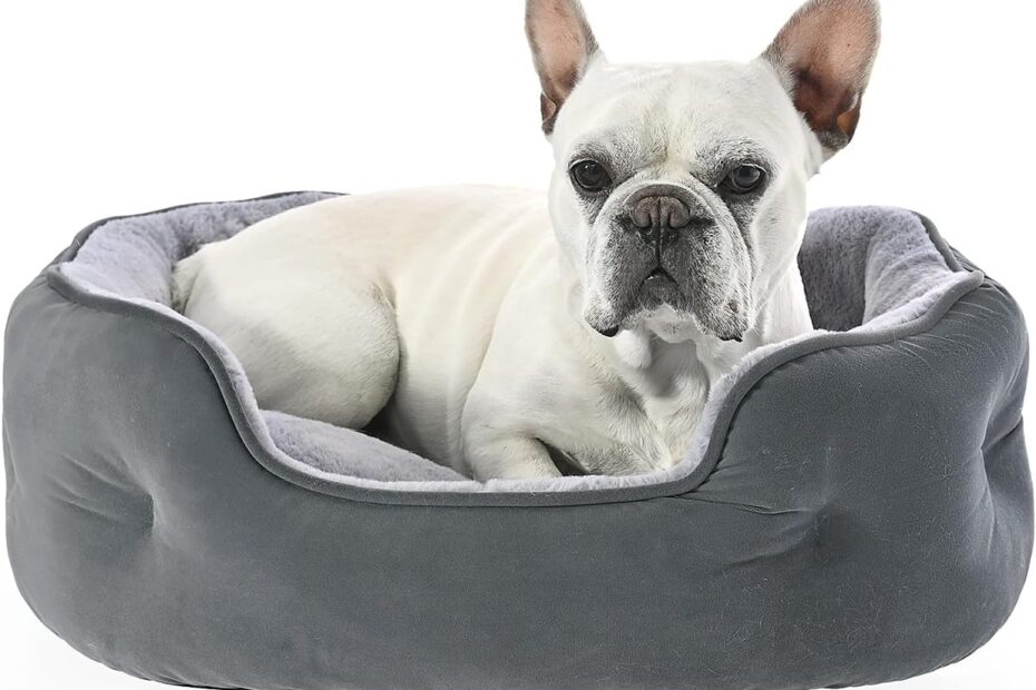Cozy Comfort: A Review of the Amazon Basics Cuddler Pet Bed for Happy Pets!