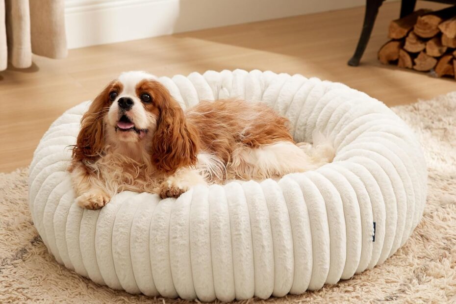 Cozy Comfort: Bedsure Donut Medium Dog Bed Review