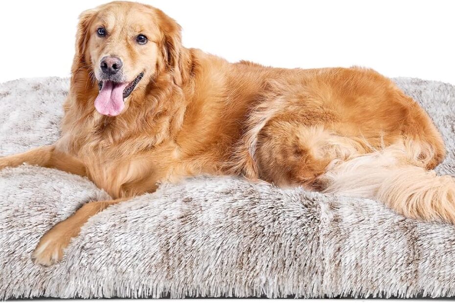 Cozy Comfort: EHEYCIGA's Fluffy XL Dog Crate Bed Review