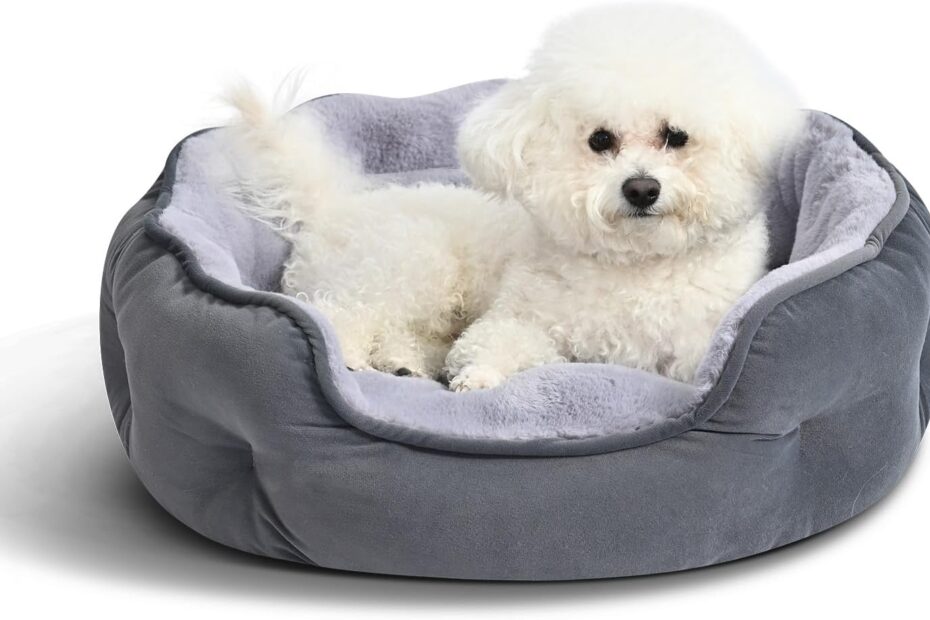Cozy Comfort for Your Furry Friend: A Review of the Amazon Basics Cuddler Pet Bed