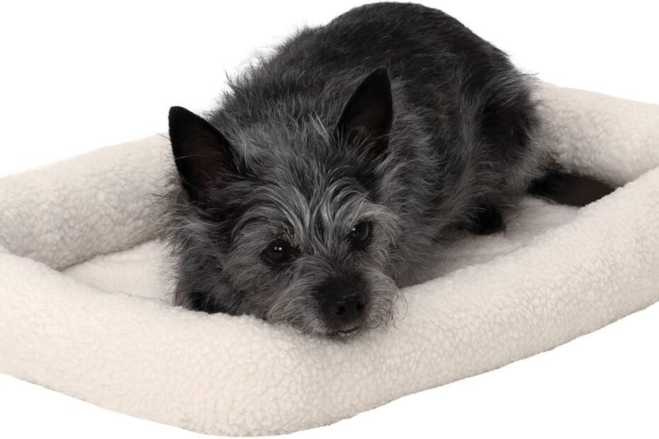 Cozy Comfort: Furhaven Dog Bed Review for Extra Small Pets!