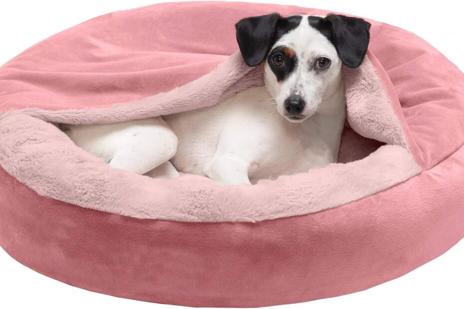Cozy Comfort: Furhaven’s Plush Donut Dog Bed Review
