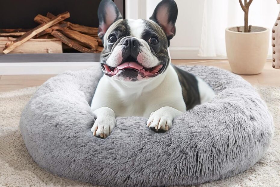 Cozy Comfort: JOLLYVOGUE Calming Bed Review for Your Furry Friends