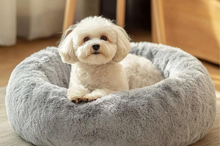 Cozy Comfort: JOLLYVOGUE Calming Donut Bed Review for Your Furry Friends