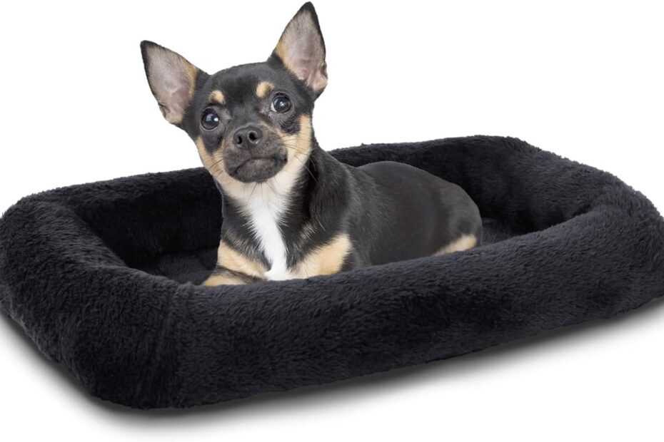 Cozy Comfort: Patas Lague Bolster Bed Review for Extra Small Dogs