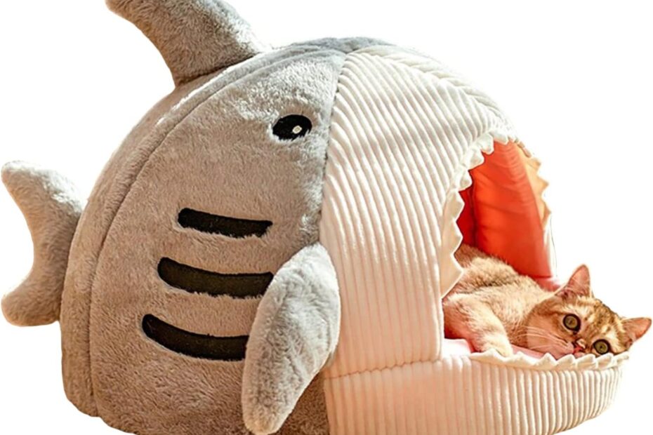 Cozy Comfort: QWINEE Shark-Shaped Cat Mat Review