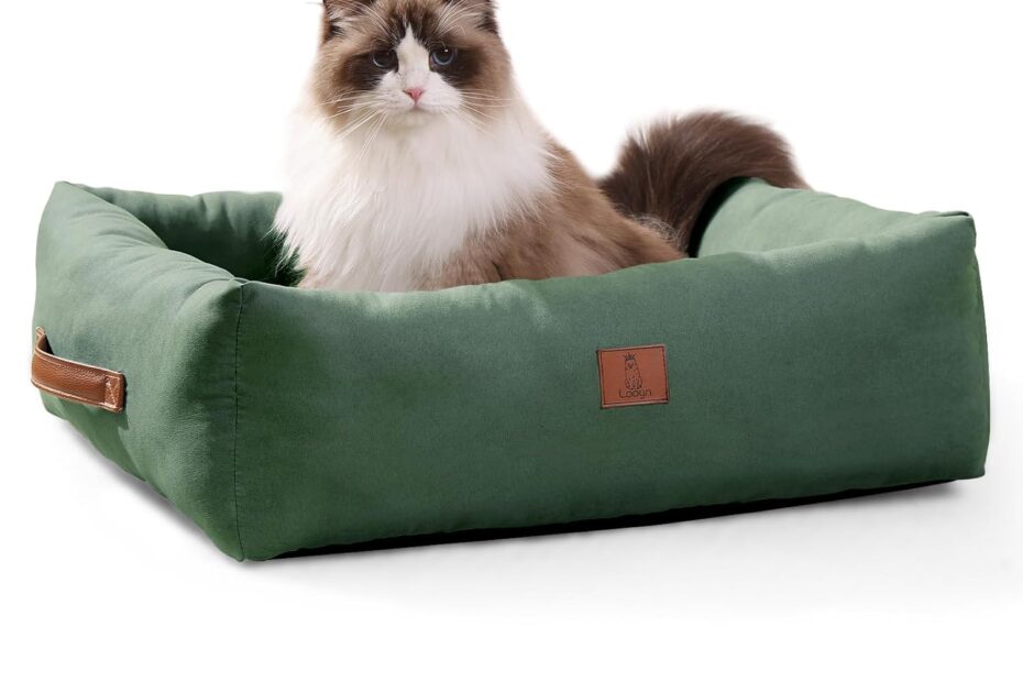 Cozy Comfort: Review of the 20In Washable Dog Bed for Small Pets