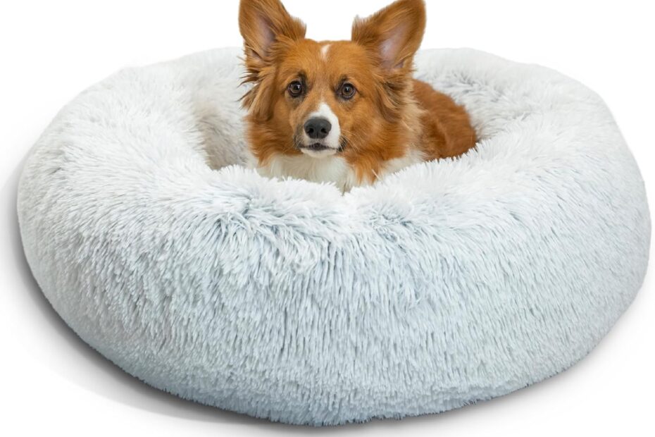 Cozy Comfort: Review of the Best Friends by Sheri Calming Donut Bed for Relaxed Pets