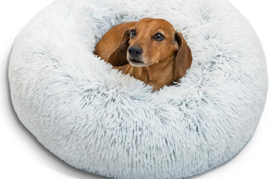 Cozy Comfort: Review of the Best Friends by Sheri Calming Donut Pet Bed for Stress-Free Naps