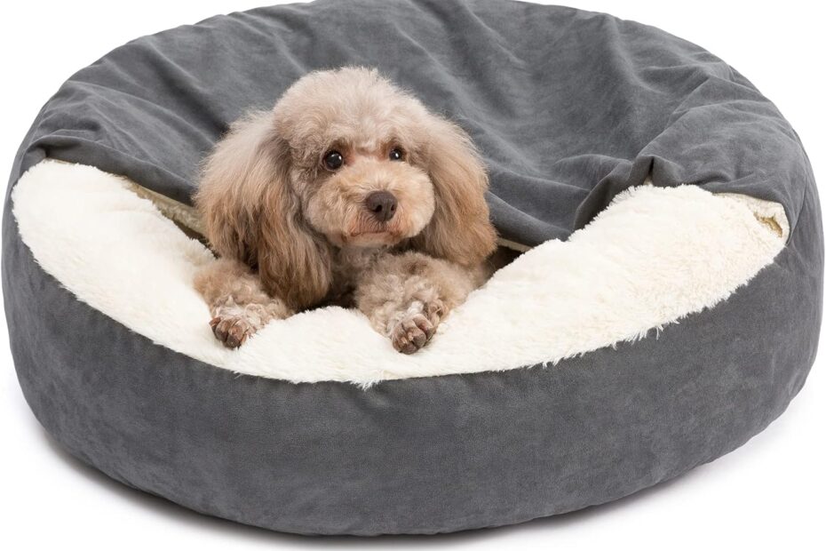 Cozy Comfort: Review of the Best Small Dog Bed for Your Pup!