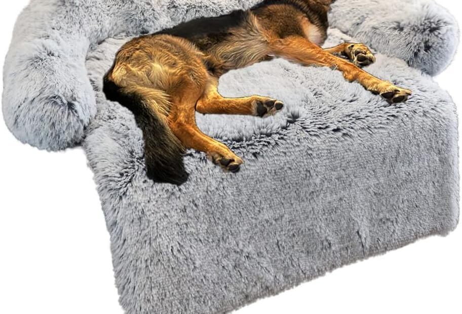 Cozy Comfort: Review of the Calming Plush Dog Bed for All Sizes
