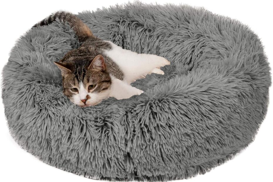Cozy Comfort: Review of the Furhaven 23" Round Calming Donut Dog Bed