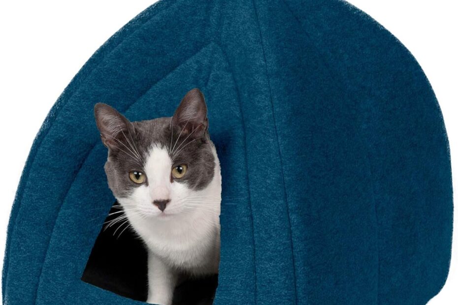 Cozy Comfort: Review of the Furhaven Cat Bed Cave in Lagoon Blue