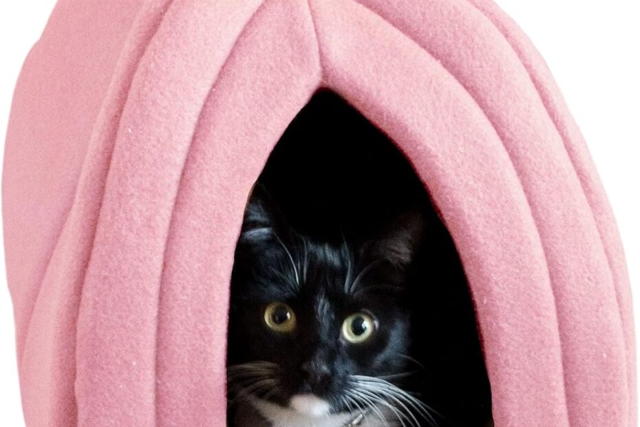 Cozy Comfort: Review of the PETMAKER Pink Cat House for Small Pets