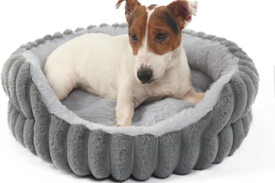 Cozy Comfort: Review of the Ultimate Round Bed for Small Dogs and Cats